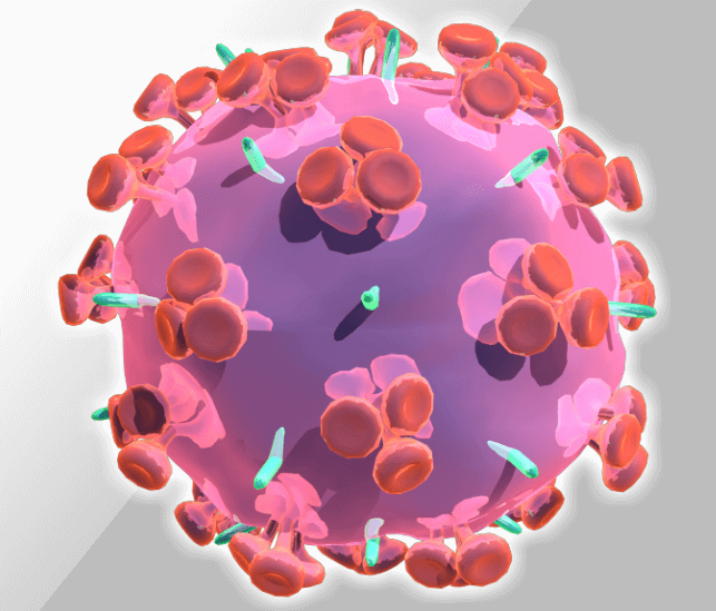 Human immunodeficiency virus